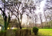 Country house with land for sale on España, Vilamarín, ref: TR392632 photo