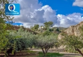 Detached villa with land for sale on España, Xixona, ref: TR255445 photo