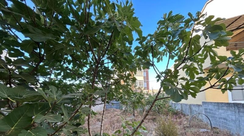 León - Cacabelos - 400m2