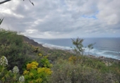 Chalet independiente con terreno en venta en la España, Arucas, ref: TR314103 foto
