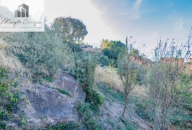 Vélez de Benaudalla 1200&nbsp;m²