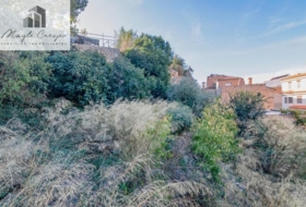 Vélez de Benaudalla 1200&nbsp;m²