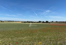 Humanes de Madrid 9873&nbsp;m²