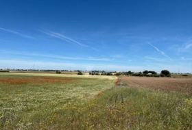 Humanes de Madrid 9873&nbsp;m²