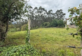 Roiz 3012&nbsp;m²