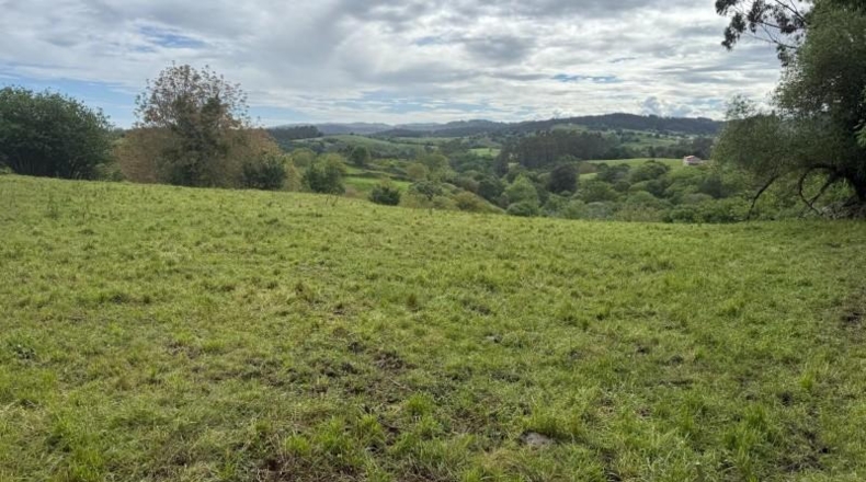 Cantabria - Roiz - 3012m2