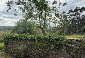 Roiz 3012&nbsp;m²