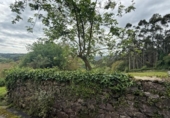 Non-developable land for sale on España, Roiz, ref: TR408363 photo