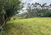 Non-developable land for sale on España, Roiz, ref: TR408363 photo
