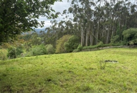 Roiz 3012&nbsp;m²