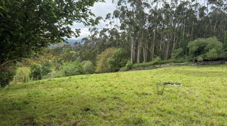 Cantabria - Roiz - 3012m2
