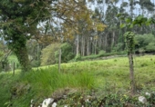 Non-developable land for sale on España, Roiz, ref: TR408363 photo