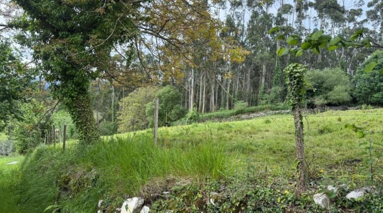 Cantabria - Roiz - 3012m2