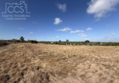 Detached villa with land for sale on España, Almonte, ref: TR408570 photo