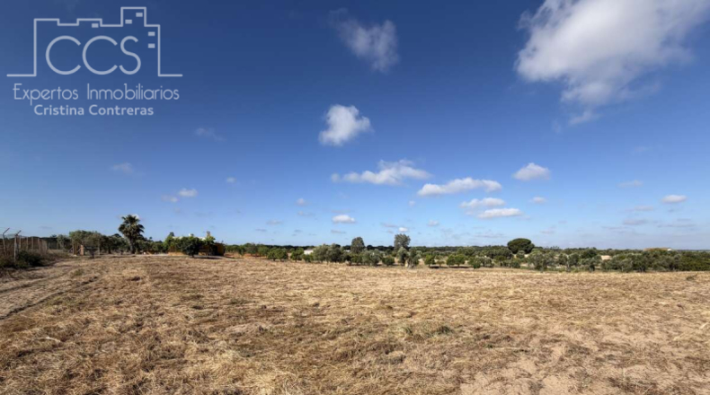 Huelva - Almonte - 15907m2