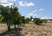 Detached villa with land for sale on España, Almonte, ref: TR408570 photo