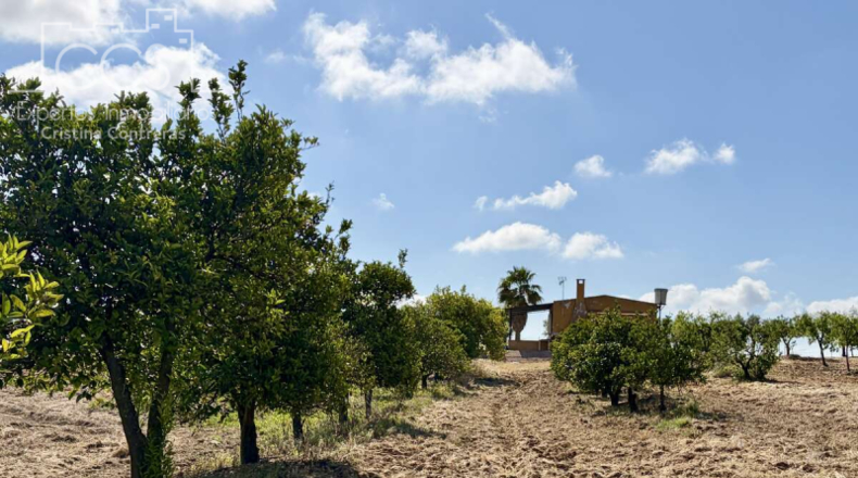 Huelva - Almonte - 15907m2