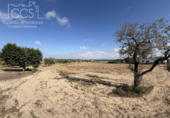 Detached villa with land for sale on España, Almonte, ref: TR408570 photo