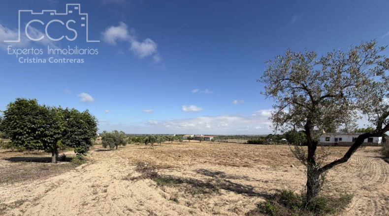 Huelva - Almonte - 15907m2
