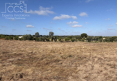 Detached villa with land for sale on España, Almonte, ref: TR408570 photo
