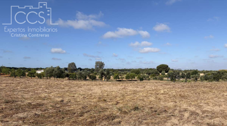 Huelva - Almonte - 15907m2