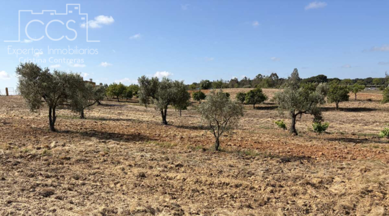 Huelva - Almonte - 15907m2