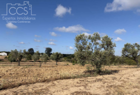 Almonte 15907&nbsp;m²