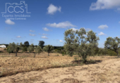 Detached villa with land for sale on España, Almonte, ref: TR408570 photo