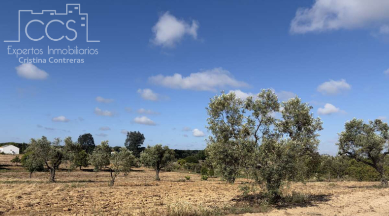 Huelva - Almonte - 15907m2