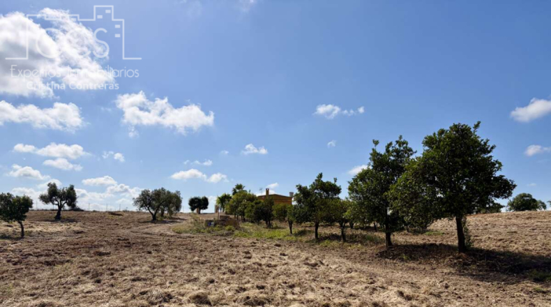 Huelva - Almonte - 15907m2
