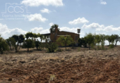 Detached villa with land for sale on España, Almonte, ref: TR408570 photo