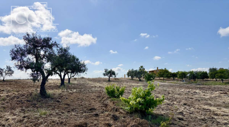 Huelva - Almonte - 15907m2