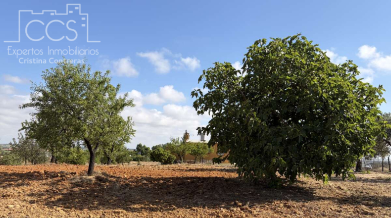 Huelva - Almonte - 15907m2