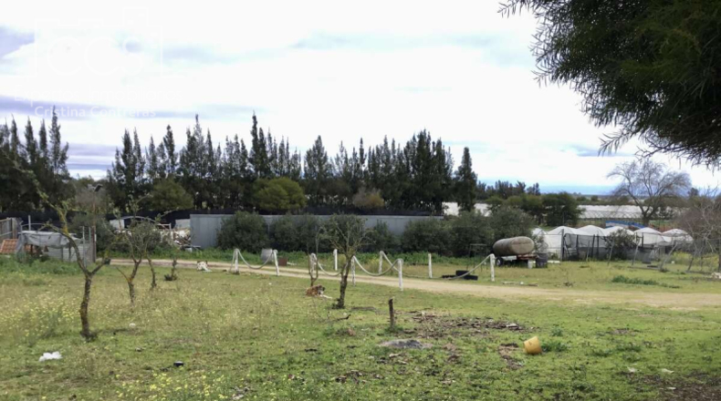Huelva - Almonte - 12176m2
