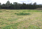 Chalet independiente con terreno en venta en la España, Almonte, ref: TR226027 foto