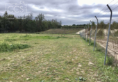 Chalet independiente con terreno en venta en la España, Almonte, ref: TR226027 foto