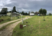 Chalet independiente con terreno en venta en la España, Almonte, ref: TR226027 foto
