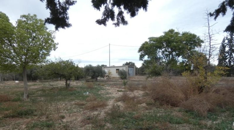 Murcia - Murcia - 4432m2