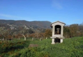Finca rústica en venta en la España, Cangas, ref: TR355945 foto