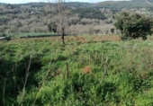 Finca rústica en venta en la España, Cangas, ref: TR355945 foto