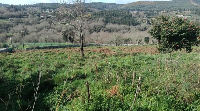 Lugo - Ribadeo - 7000m2