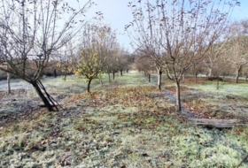 Almenara de Tormes 8075&nbsp;м²