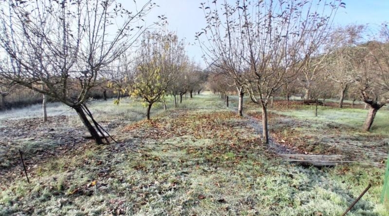 Salamanca - Almenara de Tormes - 8075m2