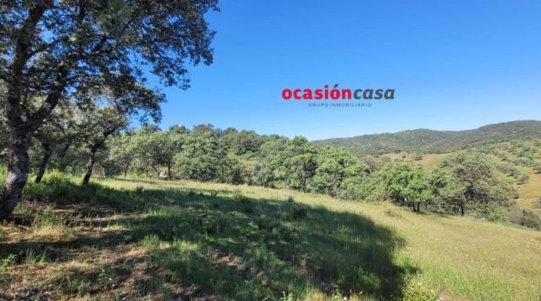 Córdoba - Pozoblanco - 137000m2