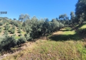 Xalet independent amb terreny en venda a la España, Pozoblanco, ref.: TR159351 foto