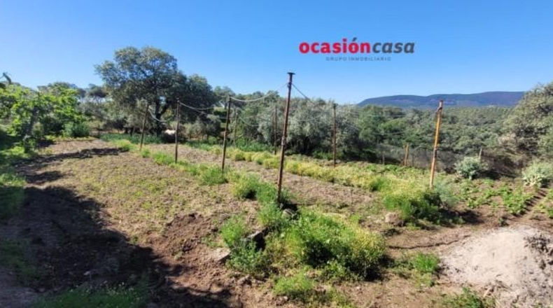 Córdoba - Pozoblanco - 137000m2