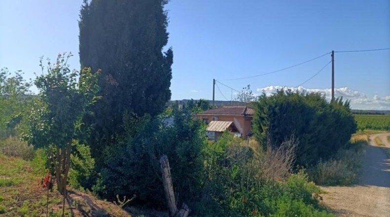 Lérida - Vilanova de Segrià - 2000m2