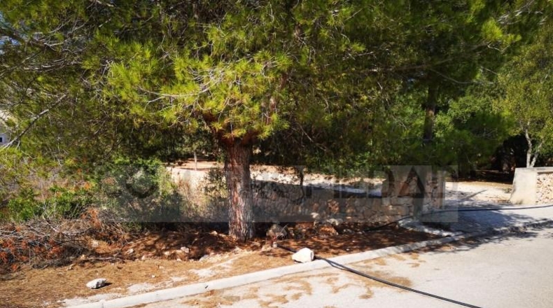 Islas Baleares - Lluchmayor - 924m2