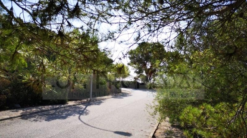 Islas Baleares - Lluchmayor - 924m2