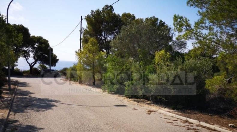 Islas Baleares - Lluchmayor - 924m2